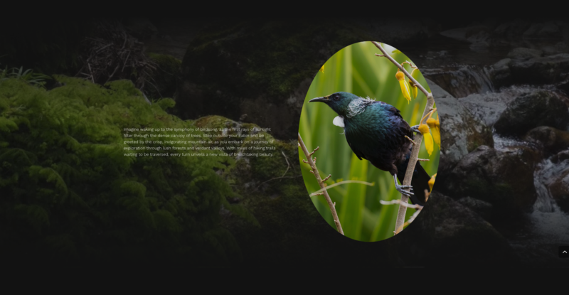 Screenshot 2024-05-28 at 18.24.42