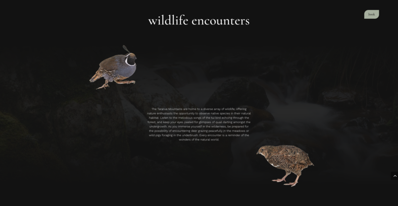 Screenshot 2024-05-28 at 18.24.52